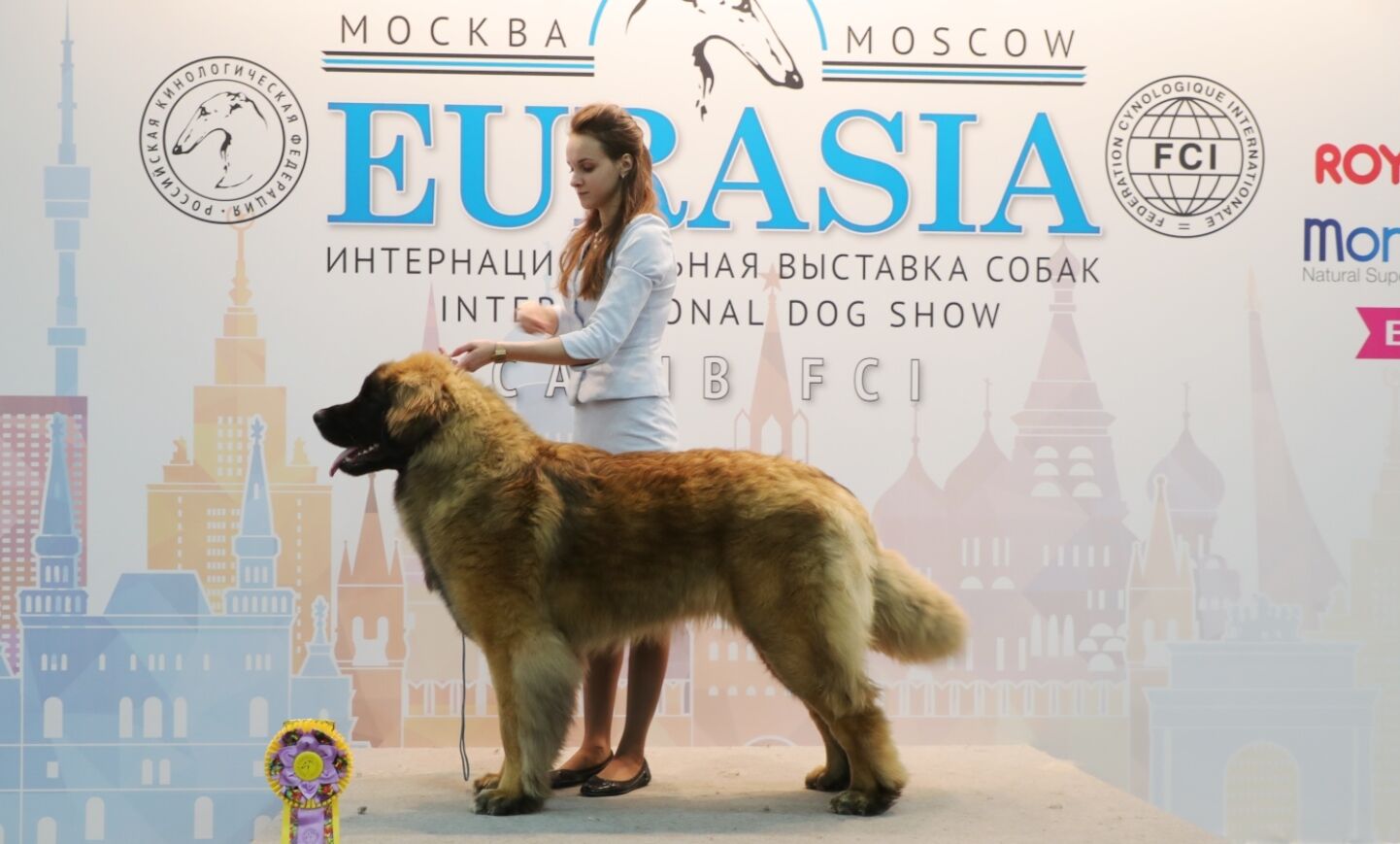 Eurasia Jun Winner